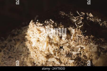 Mucchio di textolite ha visto polvere. Questo è un materiale composito stratificato a base di tessuto da fibre e un legante polimerico Foto Stock