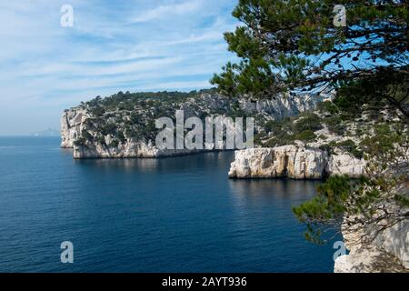 Vista della Calanque de Port-Pin nel Parco Nazionale Calanques vicino alla città di Cassis in Provenza, Francia. Foto Stock