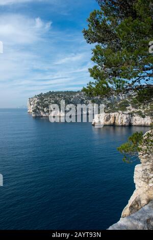 Vista della Calanque de Port-Pin nel Parco Nazionale Calanques vicino alla città di Cassis in Provenza, Francia. Foto Stock