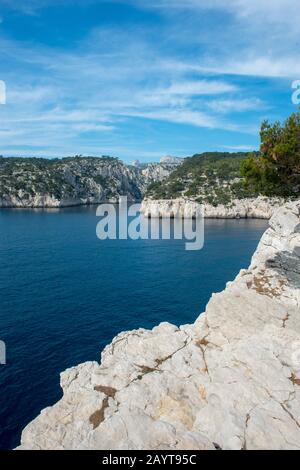 Vista della Calanque de Port-Pin nel Parco Nazionale Calanques vicino alla città di Cassis in Provenza, Francia. Foto Stock