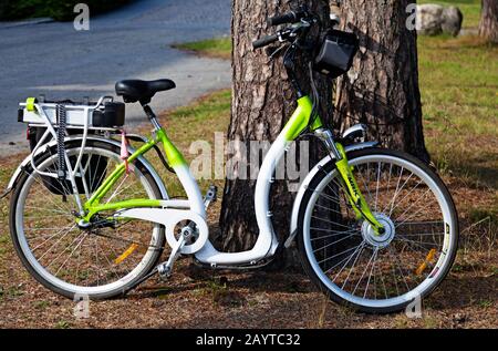 Umea, Norrland Svezia - 16 settembre 2019: Una nuova bicicletta elettrica parcheggiata da un albero a Umedalen Foto Stock