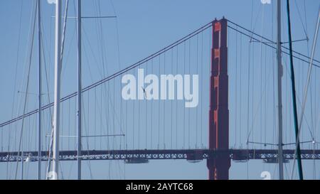 Golden Gate Bridge con gabbiano volante dietro le barche ormeggiate a vela, vista da Yacht Harbor nel San Francisco Marina District. Foto Stock