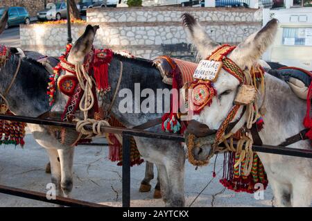 Taxi d'asino in attesa di turisti a cavalcare a Mijas, un piccolo villaggio sulla Costa del Sol vicino a Malaga in Andalusia, Spagna. Foto Stock