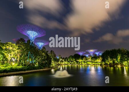 Supertrees al tramonto, riflessione sull'acqua, Giardini della Baia, Singapore Foto Stock