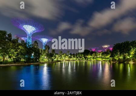 Supertrees al tramonto, riflessione sull'acqua, Giardini della Baia, Singapore Foto Stock