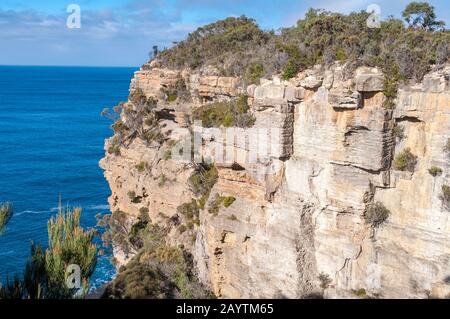 Ripide scogliere di arenaria ricoperte di foresta di eucalipto e blu oceano paesaggio. Tasman National Park in Australia Foto Stock