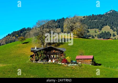 Azienda agricola di montagna in stile chalet svizzero vicino a Gstaad, cantone di Berna, Svizzera Foto Stock