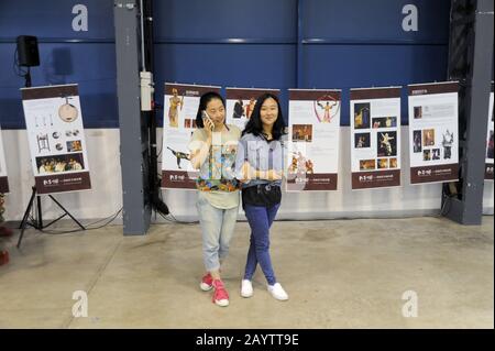 Sesto San Giovanni (Milano, Italia), Istituto Confucio presso l'Università Statale di Milano; "Confucio Day", un giorno per la promozione della lingua e della cultura cinese in Italia Foto Stock