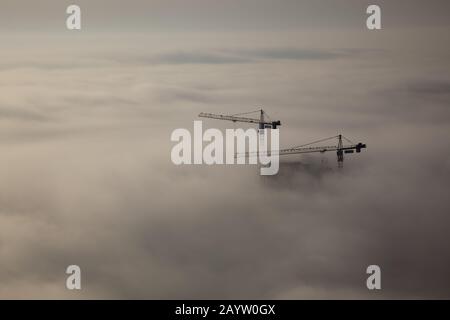 Solo le cime delle gru e degli edifici in costruzione si possono vedere salire sopra la nebbia a Dubai, Emirati Arabi Uniti. Foto Stock