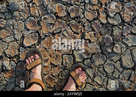 Fango secco, cambiamenti climatici, Belgio, Fiandre Orientali Foto Stock