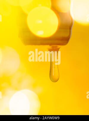 Schizzi di miele dolce biologico. Miele che si immerge dal cucchiaio di miele di legno. Concetto minimo di cibo idea. Foto Stock