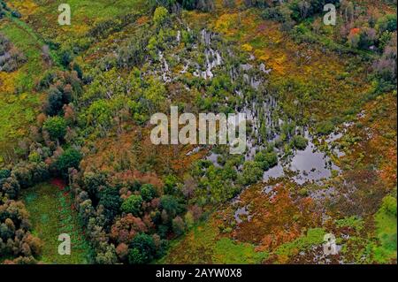 Riumettazione di Moor Dosenmoor, Einfelder Moor, vista aerea, Germania, Schleswig-Holstein Foto Stock