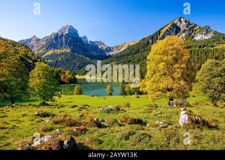 Acero Sycamore, acero grande (Acer pseudoplatanus), lago Obersee e Bruennelistock in autunno, Svizzera, Glarner Alpen, Glarus Foto Stock