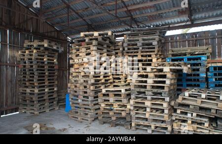 Pallet in legno impilati uno sull'altro all'interno del magazzino. Pareti in legno. Foto Stock