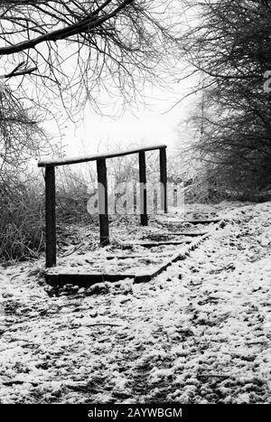 Viste intorno ad un Cowpen Bewley Woodland Park molto freddo e congelato, Billingham, Teesside, Contea di Durham, Inghilterra, REGNO UNITO Foto Stock