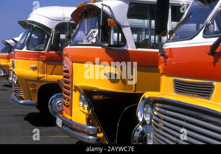 Malta autobus tradizionali dai colori vivaci Foto Stock