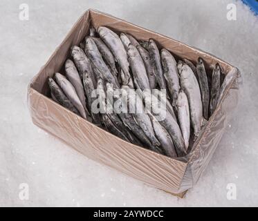 Una scatola di cartone con un sacchetto di plastica sul ghiaccio pieno di pesce. La produzione di sardine. Mercato del pesce. Vista dall'alto. Foto Stock