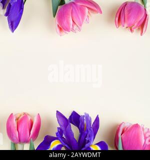 Bellissimi fiori di primavera. Tulipani rossi e iridi viola su sfondo giallo l'uno di fronte all'altro. Design per biglietto di auguri. Fram. Bordo layout creativo Foto Stock