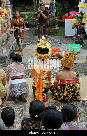 Gli sposi Balinesi tradizionali sono guidati attraverso la cerimonia nuziale da una donna Balinese anziano sul cortile di un tempio. Foto Stock