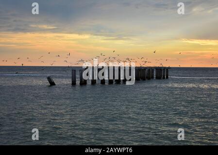 Molo Di Boca Grande Beach Al Tramonto, Fotografia Del Paesaggio Della Spiaggia, Isola Di Gasparilla Della Florida Sud Occidentale, Sfondo Costiero, Molo Di Cemento Dilatato Foto Stock