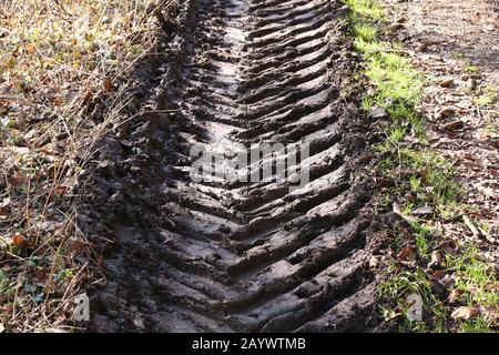 Tracce del battistrada di un veicolo su strada sporca Foto Stock