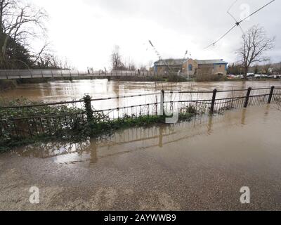 Maidstone, Kent, Regno Unito. 17th Feb, 2020. Tempo del Regno Unito: Un alto livello del fiume oggi a Maidstone, Kent con alcune inondazioni intorno al centro della città. Credito: James Bell/Alamy Live News Foto Stock