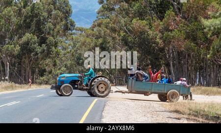 Villiliersdorp, Capo Occidentale, Sud Africa. Dicembre 2019. I lavoratori agricoli possono fare un giro nel rimorchio di un trattore blu. Foto Stock