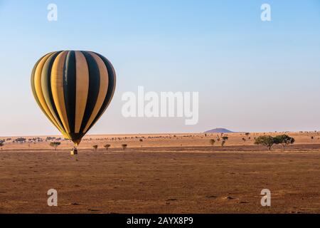 Safari mattutino in mongolfiera sul Serengeti in Tanzania Foto Stock