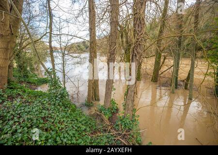 Fiume Severn inondazione in Ironbridge dopo Storm Dennis spazzare Regno Unito Foto Stock