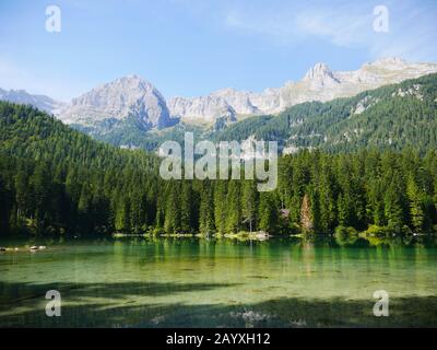 Lago Tovel, Italia: Un bellissimo lago alpino Foto Stock