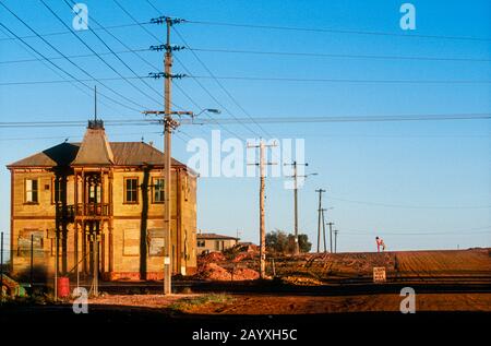 Una donna che gioca con un grande cane all'orizzonte di una remota strada sterrata di terra rossa, alla luce del tardo pomeriggio, fuori dall'Australia Occidentale Foto Stock