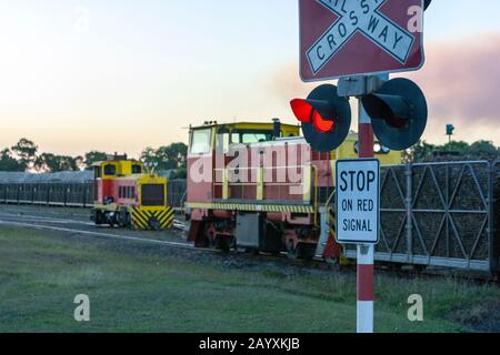 Canna da zucchero treno, Hamilton Plains Queensland, Australia Foto Stock