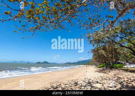 Palm Cove Beach, Palm Cove, Queensland, Australia Foto Stock