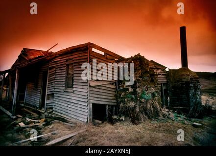 Delapidated le rovine di ramgrillo di vecchio shack abbandonato di estrazione mineraria nel paese alto, Victoria Australia Foto Stock