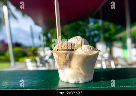 Daintree Ice Cream Company, Queensland, Australia Foto Stock