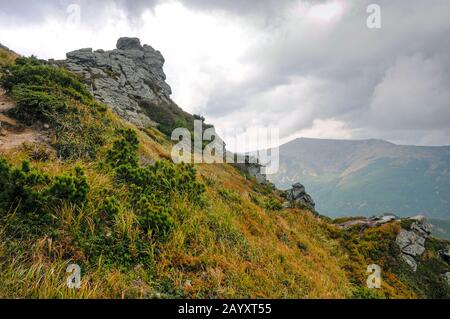 Colori caldi della foresta in montagna Foto Stock