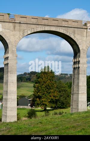 L'imponente viadotto a dieci archi di Cannington sulla disutilizzata linea di diramazione della Axminster & Lyme Regis Light Railway vicino Uplyme nel Devon orientale. Foto Stock