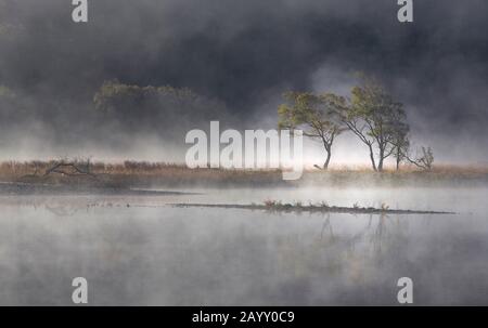 Una vista della mattina presto di llyn Dinas vicino Beddgelert. Prende il nome dalla vicina Dinas Emrys, una collina rocciosa e boscosa a valle del lak Foto Stock