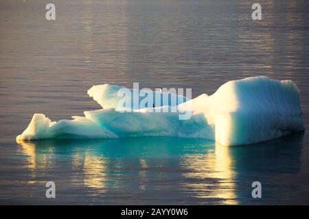 Un iceberg fuori dall'isola di spert nell'Arcipelago di Palmer, l'Antartide con Pinguini Chinsrap e Adelie. Foto Stock