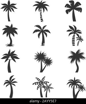 Silhouette di palme tropicali sullo sfondo bianco. Set di piante tropicali esotiche con grandi foglie. Illustrazione del vettore Illustrazione Vettoriale