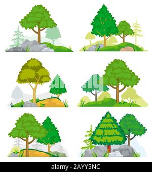 Paesaggi con alberi di conifere e latifoglie, erba e rocce. Vettore insieme di natura paesaggio con albero e roccia, illustrazione foresta albero conifere Illustrazione Vettoriale