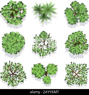 Set di vettori per la vista dall'alto degli alberi per la progettazione e la mappa del paesaggio. Albero verde per il giardino, alberi di illustrazione per la foresta Illustrazione Vettoriale