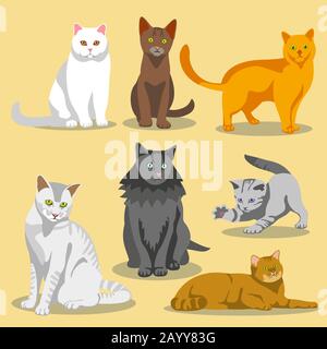 Gatti vettore cute con pelliccia e marcature di colore diverso. Set di gatti e illustrazione gatto animale domestico Illustrazione Vettoriale
