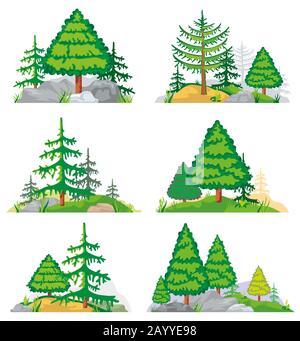 Paesaggi con alberi di conifere, erba e pietre. Vettore paesaggio natura con albero e pianta. Foresta paesaggio illustrazione di set Illustrazione Vettoriale