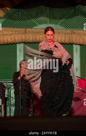 Ballerini e musicisti che suonano il Flamenco, una forma di musica folk spagnola e danza, durante uno spettacolo di cena a Siviglia, Andalusia, Spagna. Foto Stock