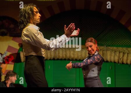 Ballerini e musicisti che suonano il Flamenco, una forma di musica folk spagnola e danza, durante uno spettacolo di cena a Siviglia, Andalusia, Spagna. Foto Stock