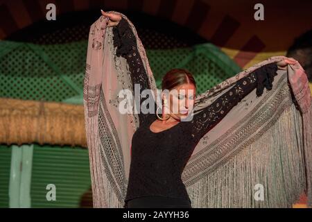 Ballerini e musicisti che suonano il Flamenco, una forma di musica folk spagnola e danza, durante uno spettacolo di cena a Siviglia, Andalusia, Spagna. Foto Stock