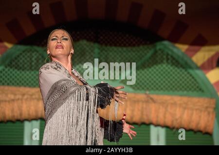 Ballerini e musicisti che suonano il Flamenco, una forma di musica folk spagnola e danza, durante uno spettacolo di cena a Siviglia, Andalusia, Spagna. Foto Stock