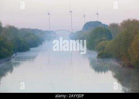 Fiume Leie al mattino nebbia, Belgio, Fiandre Occidentali, Leievallei Foto Stock