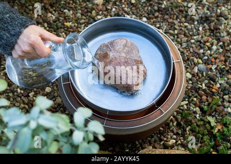 Mangiatoia senza gelo, in vaso di fiori, piattino, candela grave, griglia di raffreddamento e ciotola ignifuga, Germania Foto Stock